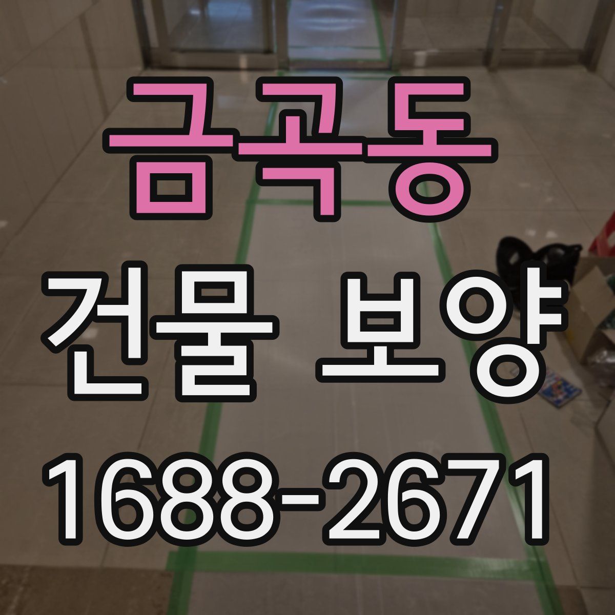 금곡동 건물 보양