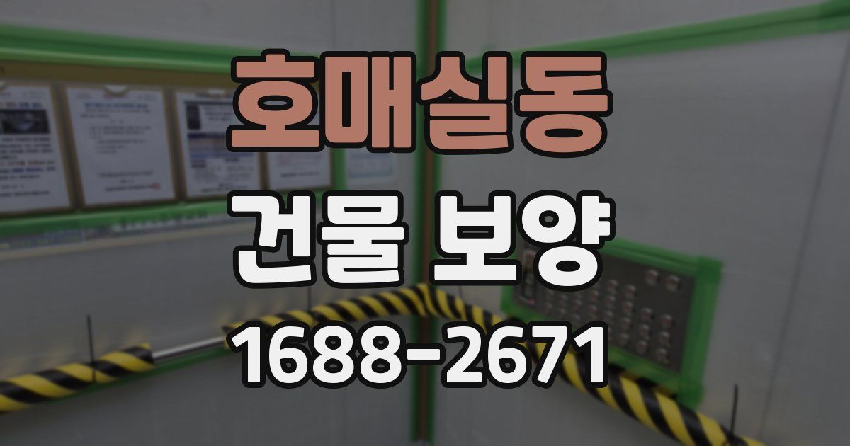 호매실동 건물 보양