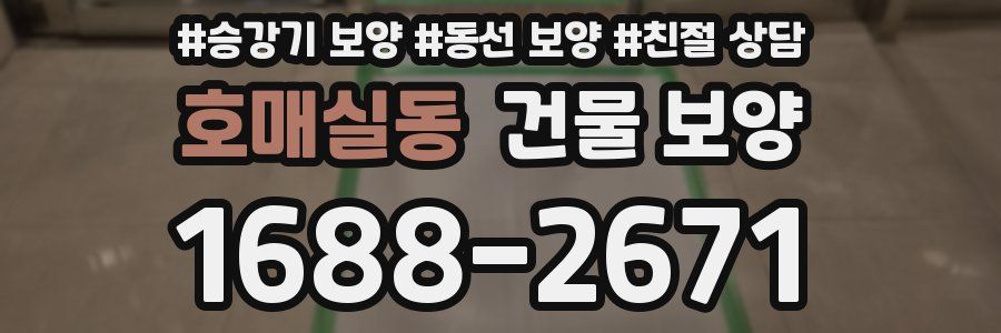 호매실동 건물 보양