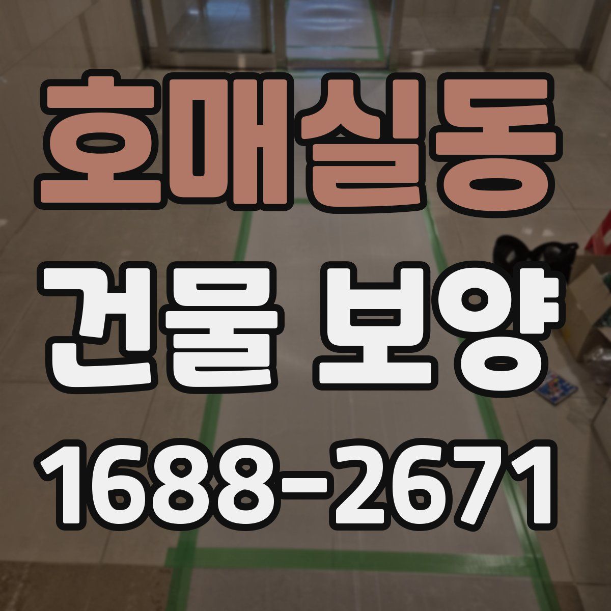 호매실동 건물 보양