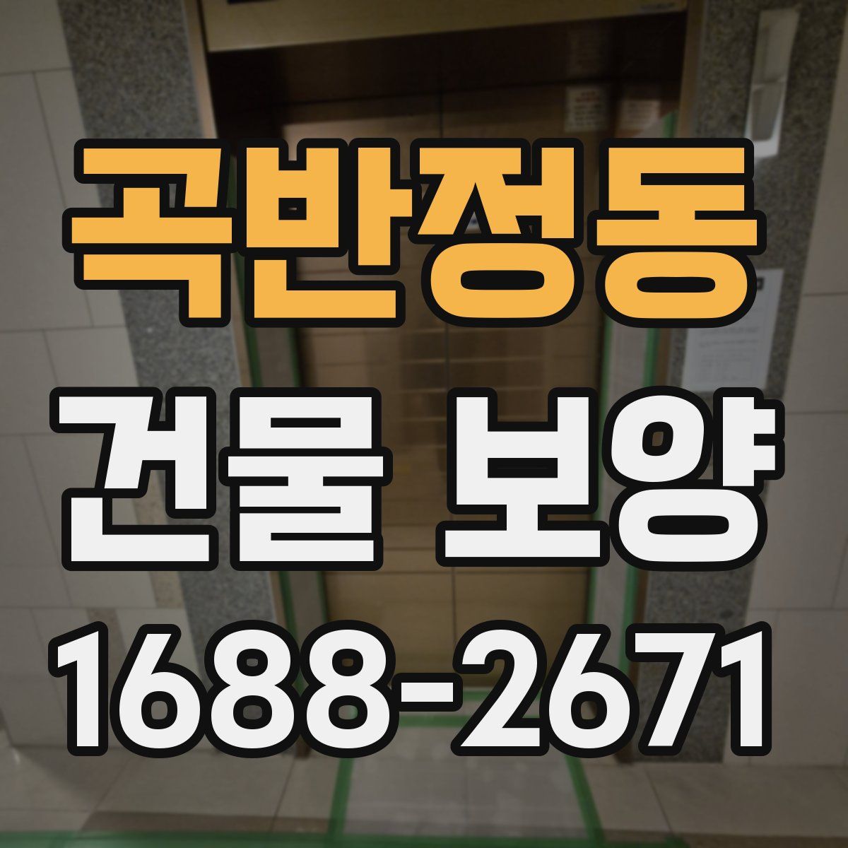 곡반정동 건물 보양