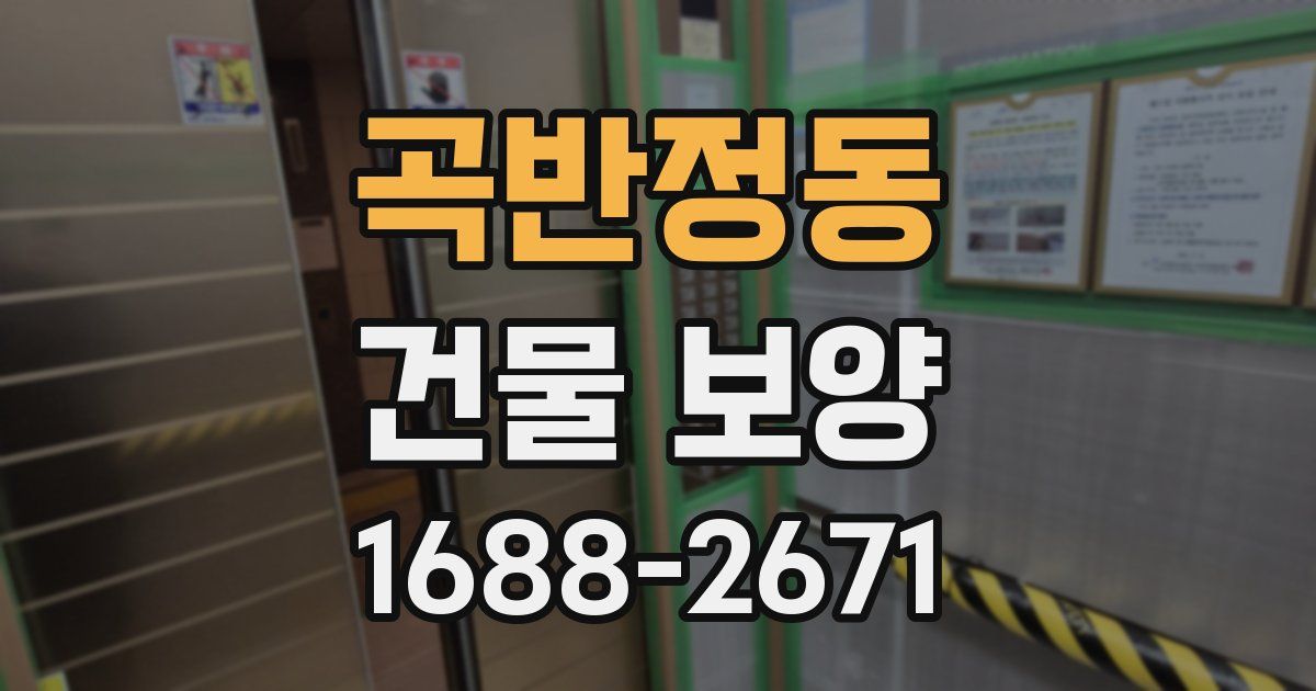 곡반정동 건물 보양