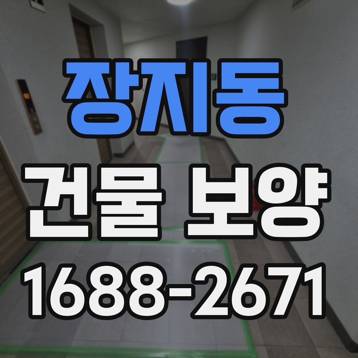 장지동 건물 보양
