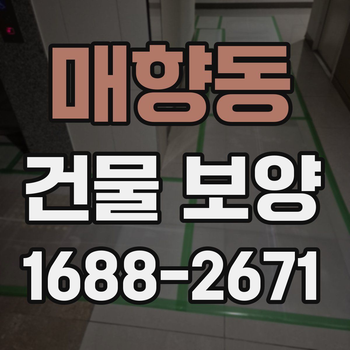 매향동 건물 보양