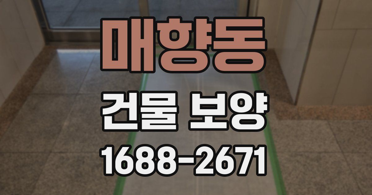 매향동 건물 보양