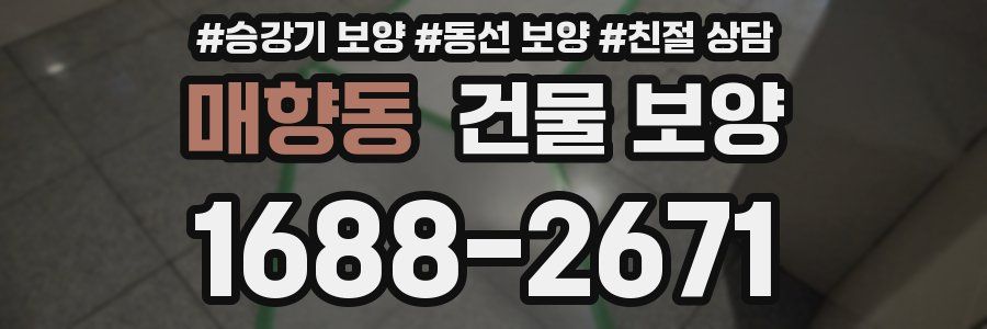 매향동 건물 보양