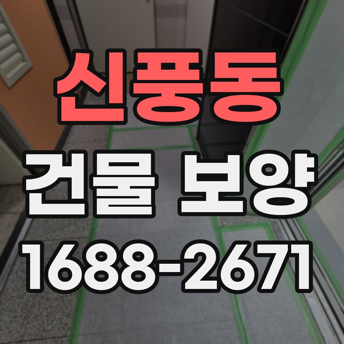 신풍동 건물 보양