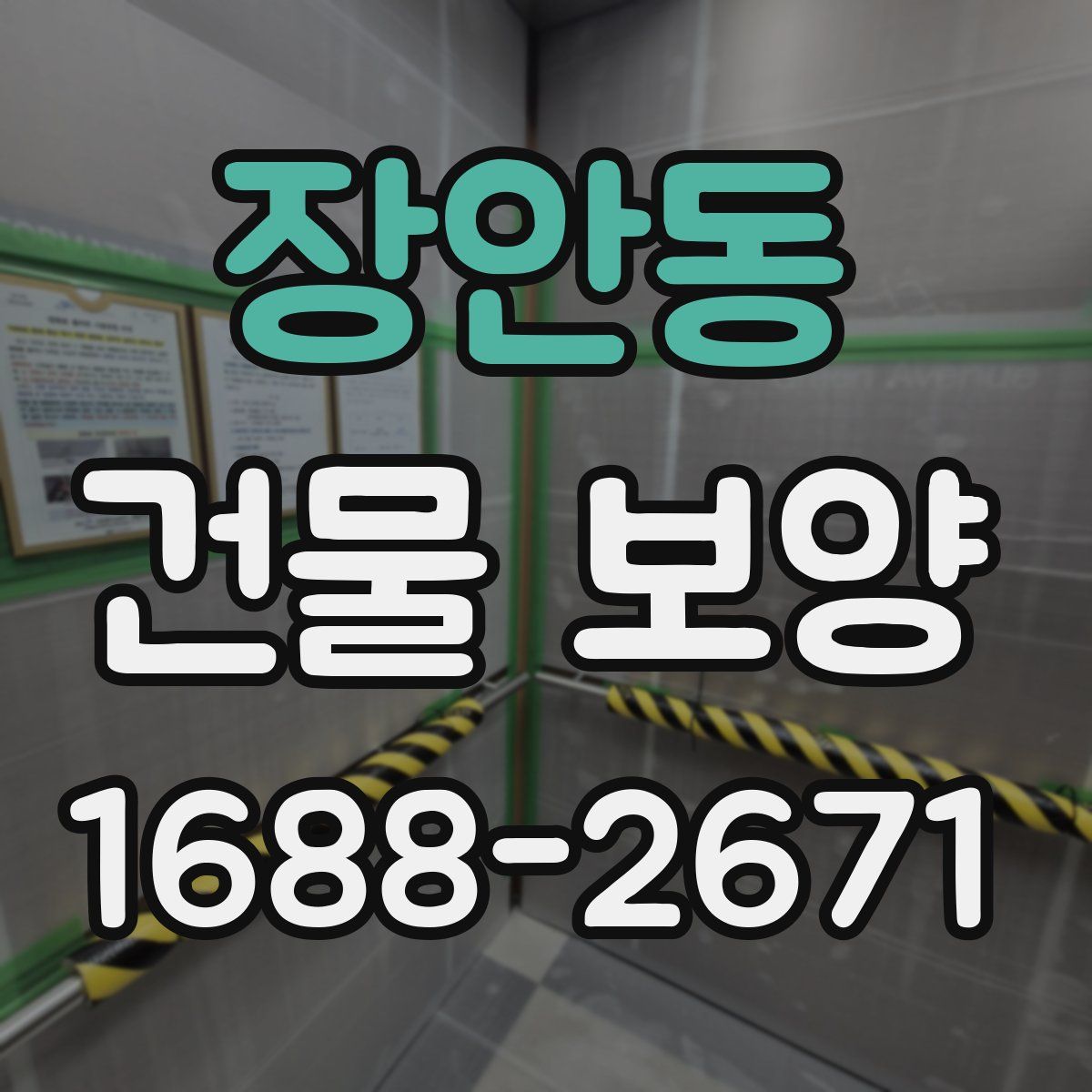 장안동 건물 보양