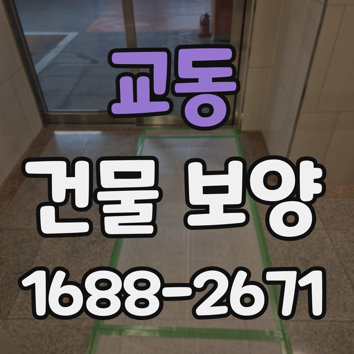 교동 건물 보양