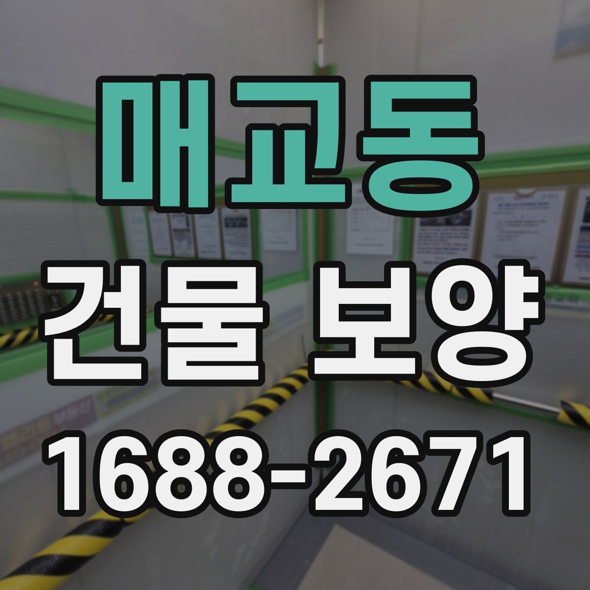매교동 건물 보양