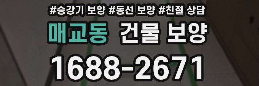 매교동 건물 보양