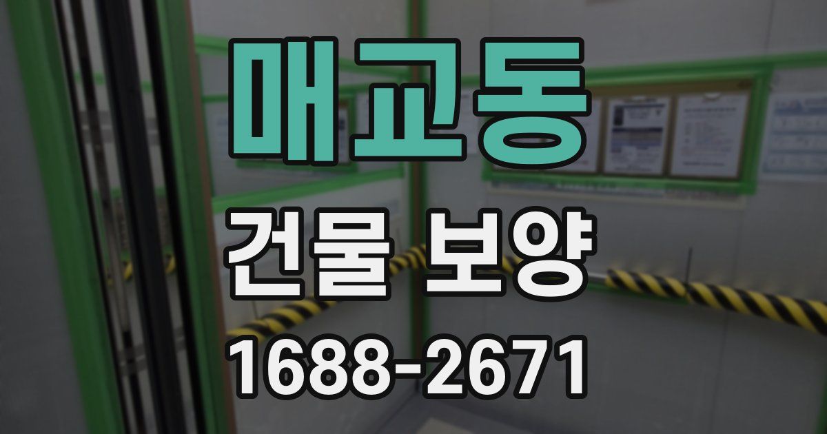 매교동 건물 보양