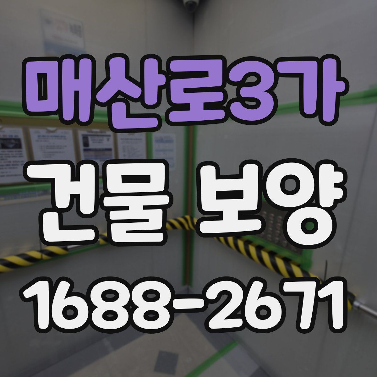 매산로3가 건물 보양
