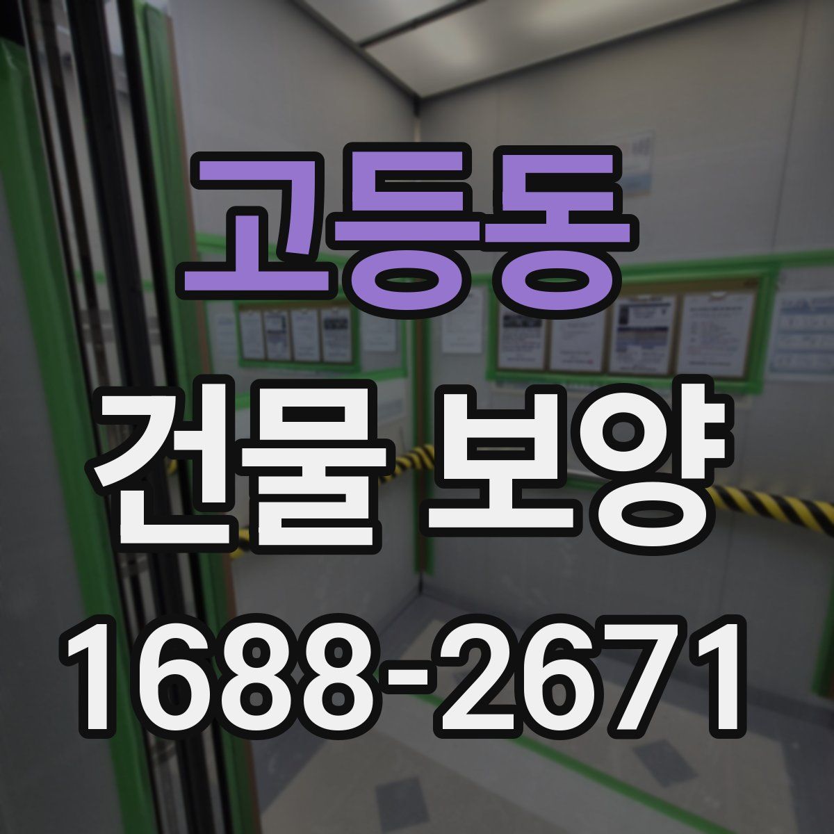 고등동 건물 보양