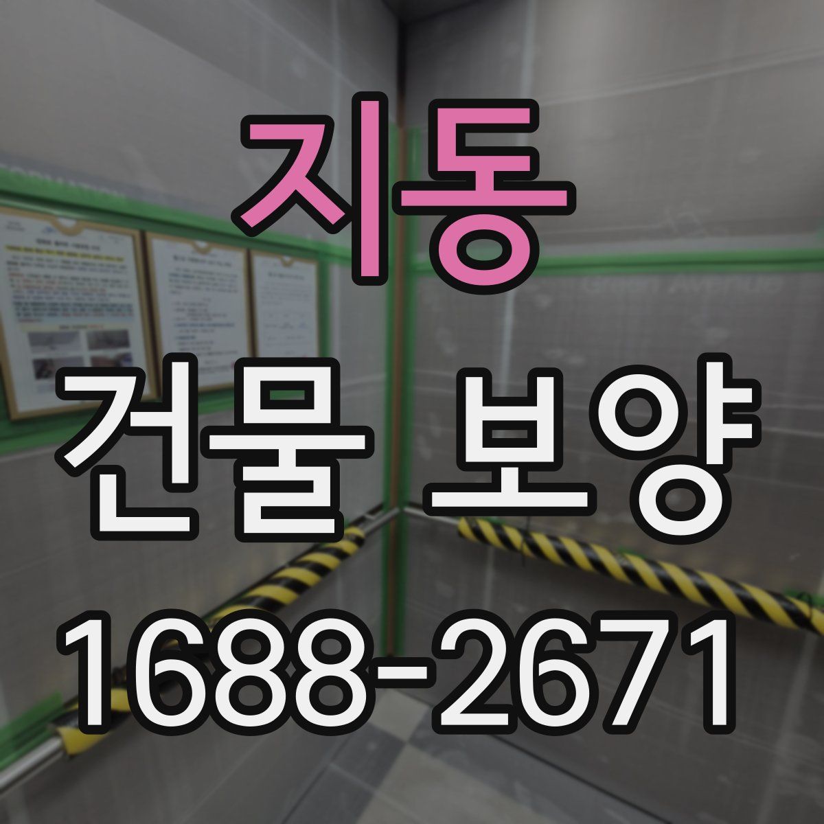 지동 건물 보양