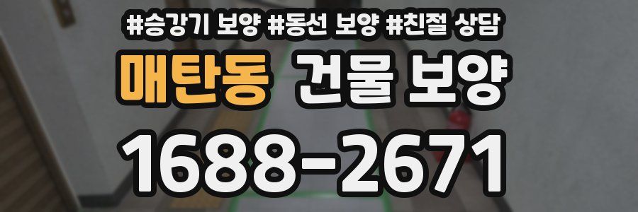 매탄동 건물 보양