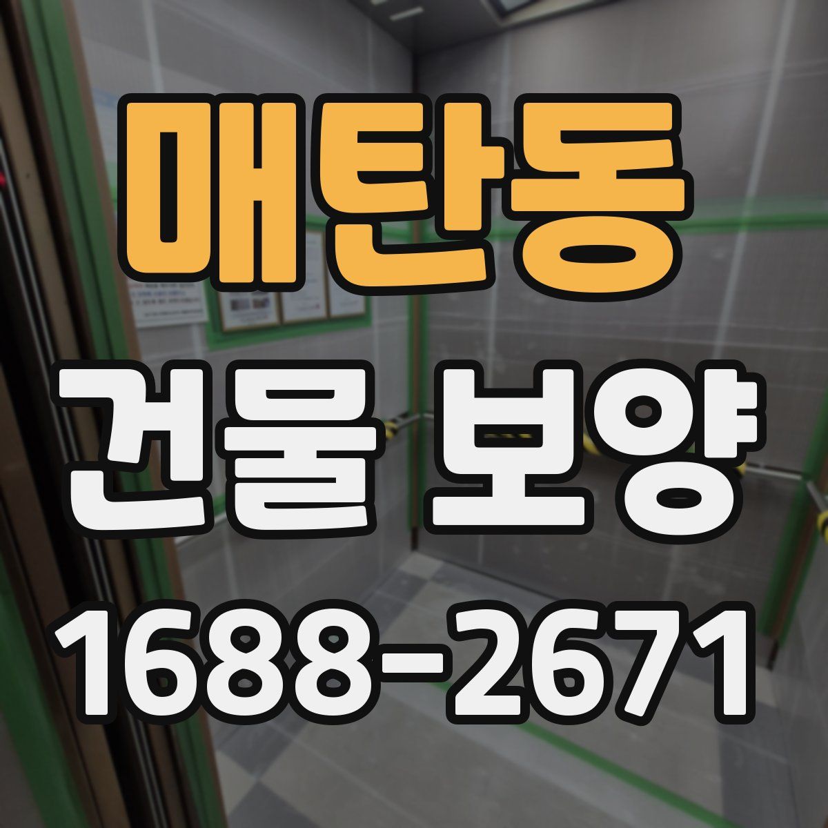 매탄동 건물 보양