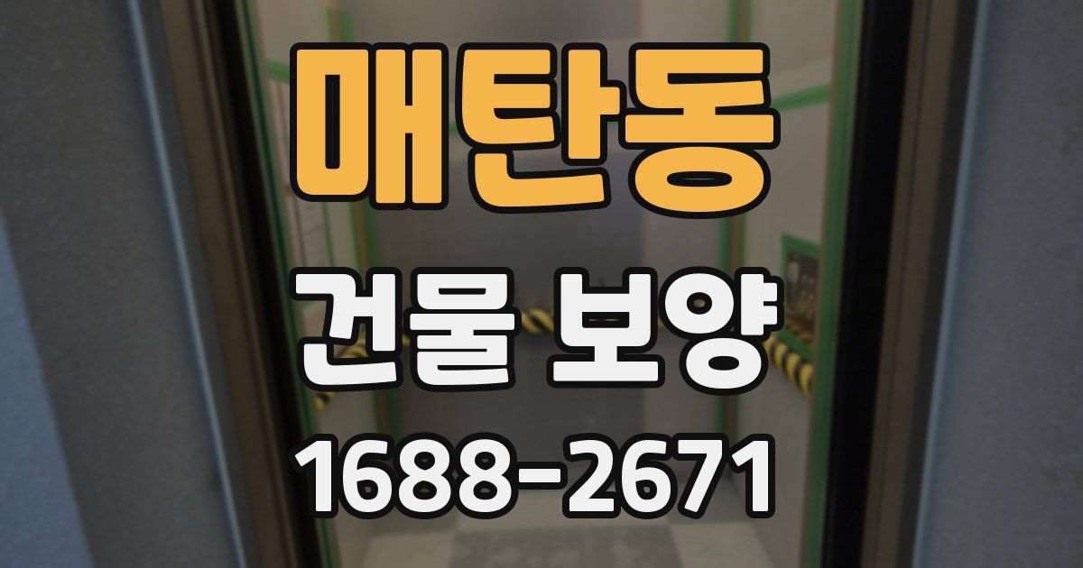 매탄동 건물 보양