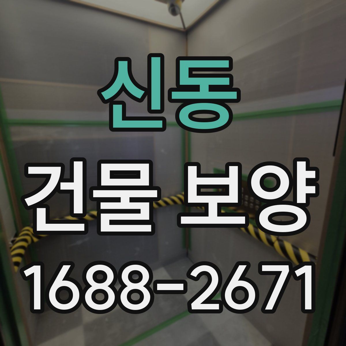 신동 건물 보양