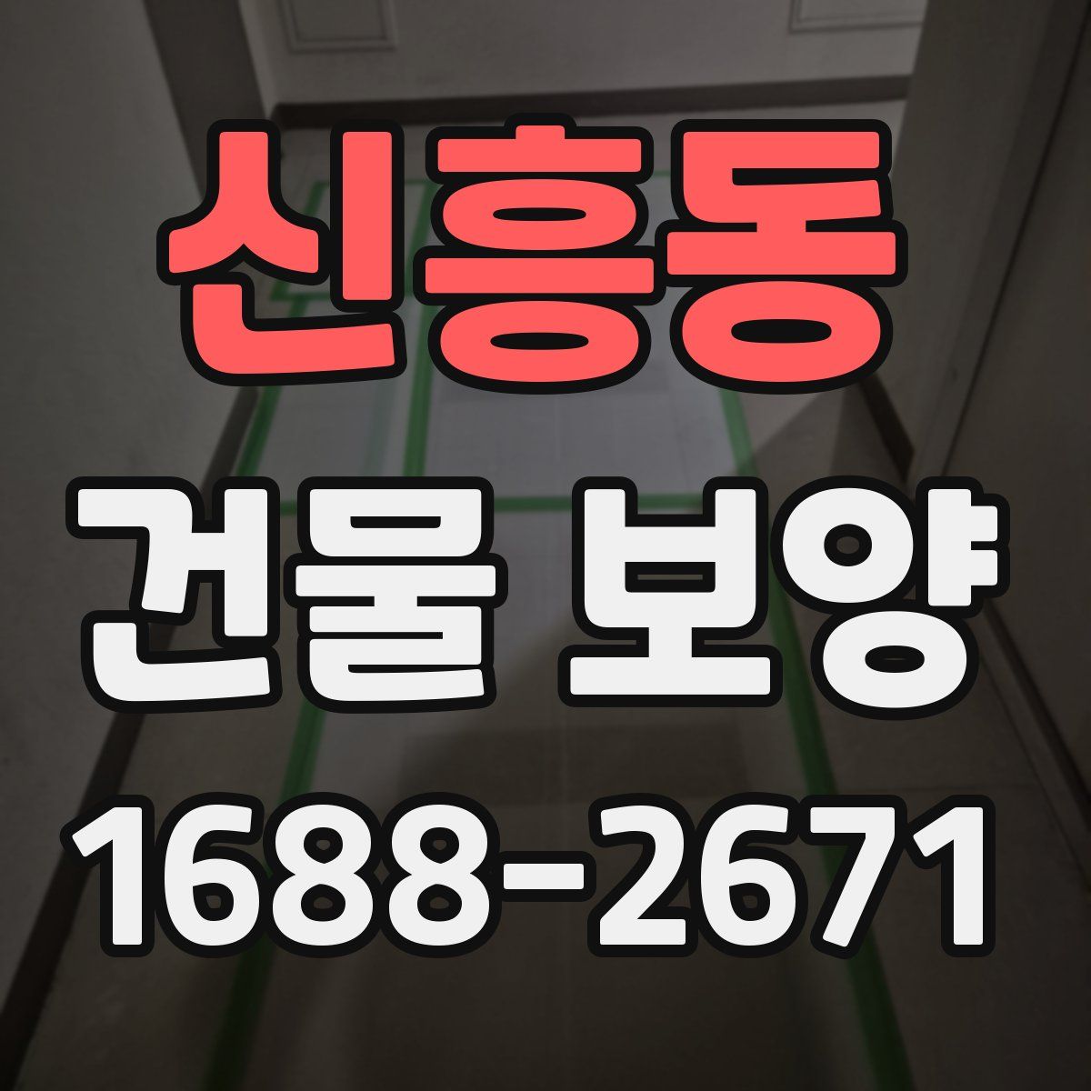 신흥동 건물 보양