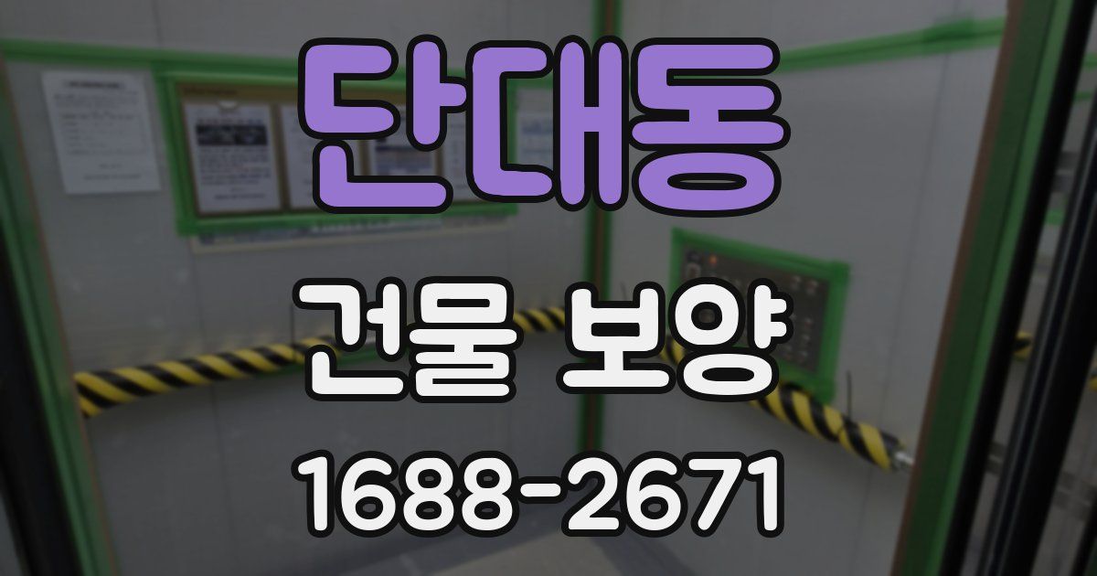 단대동 건물 보양