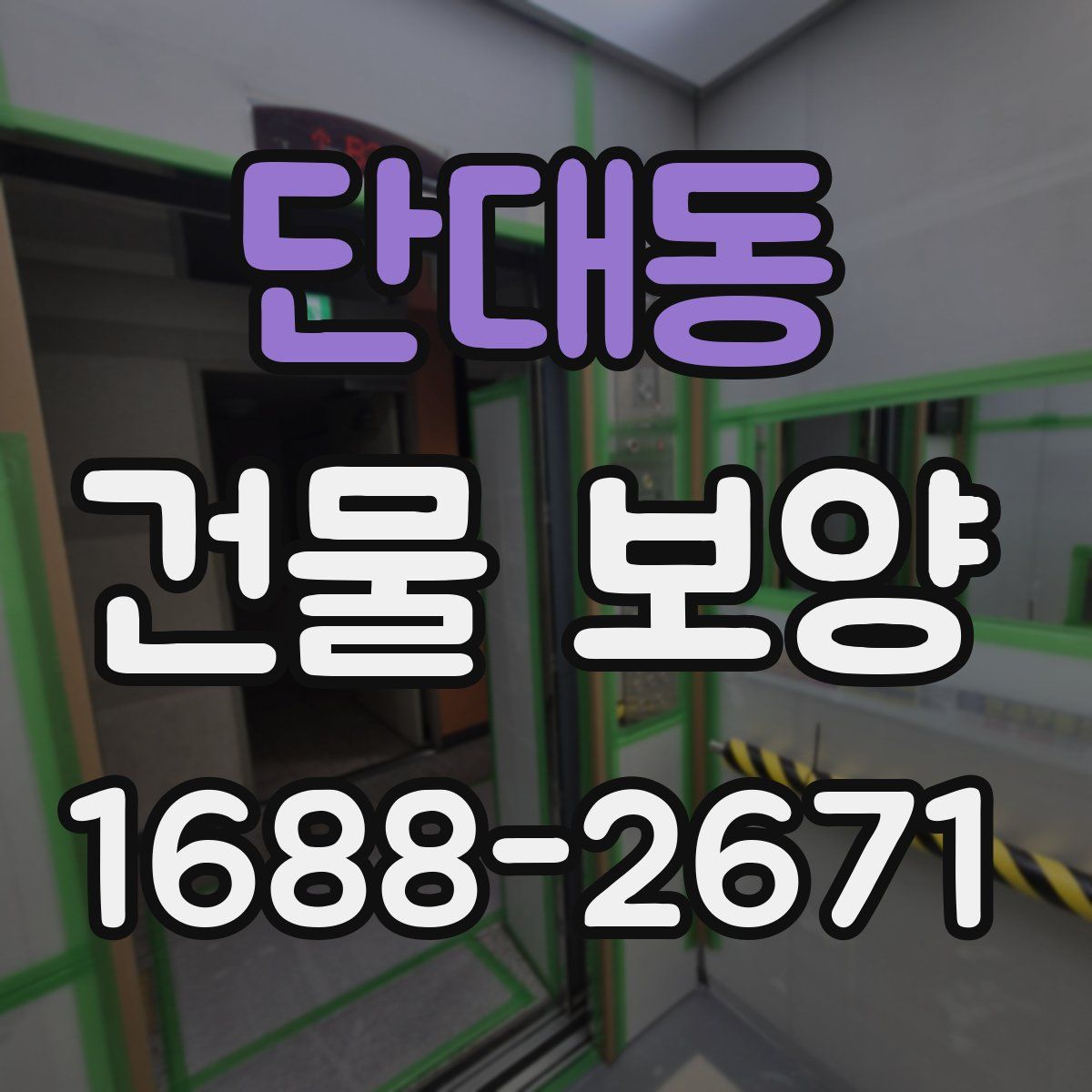 단대동 건물 보양