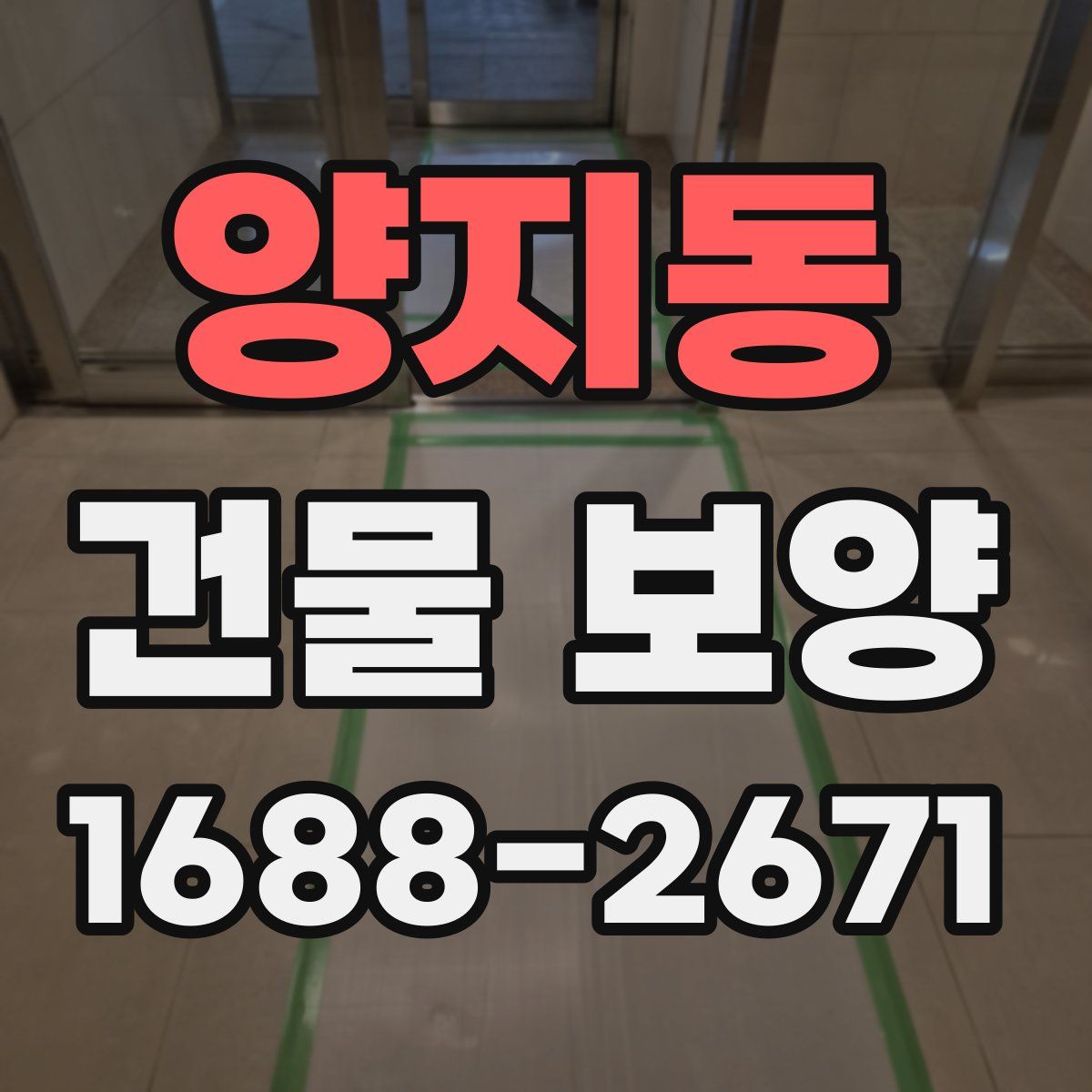 양지동 건물 보양