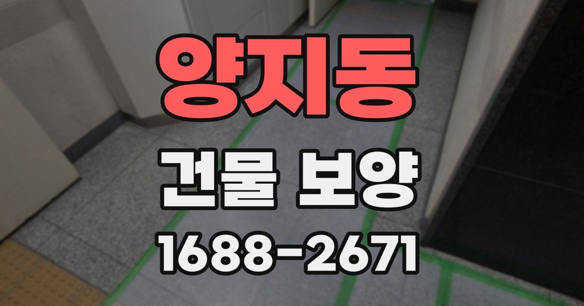 양지동 건물 보양