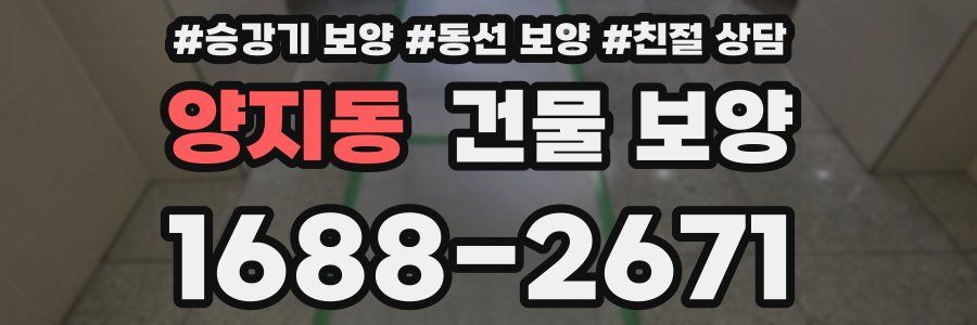 양지동 건물 보양