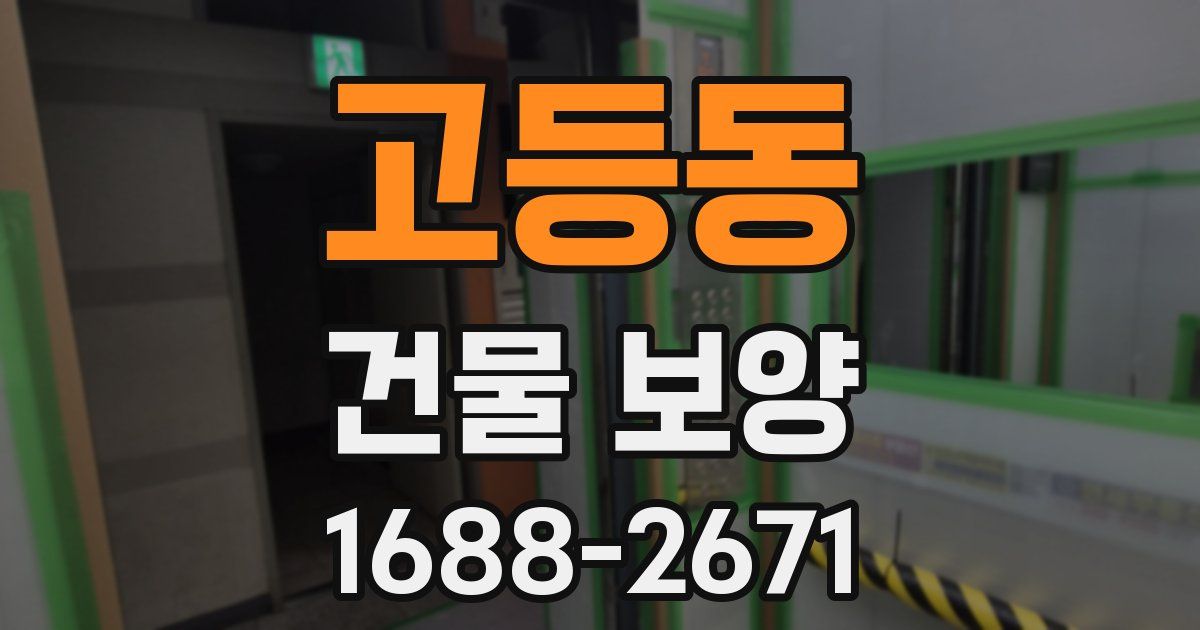 고등동 건물 보양