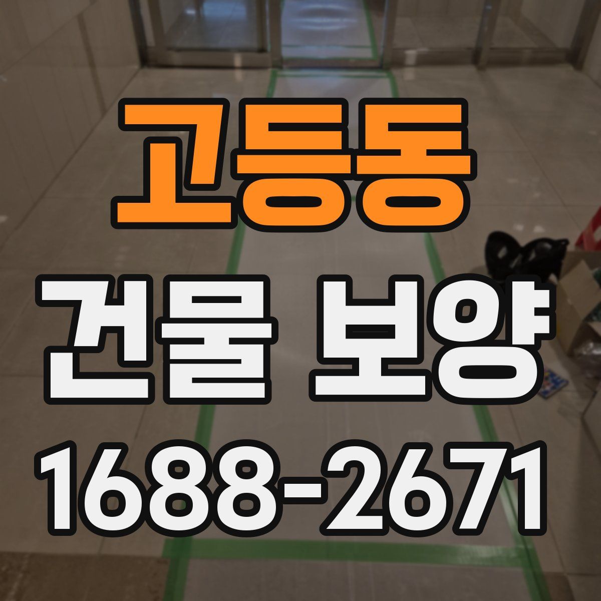 고등동 건물 보양