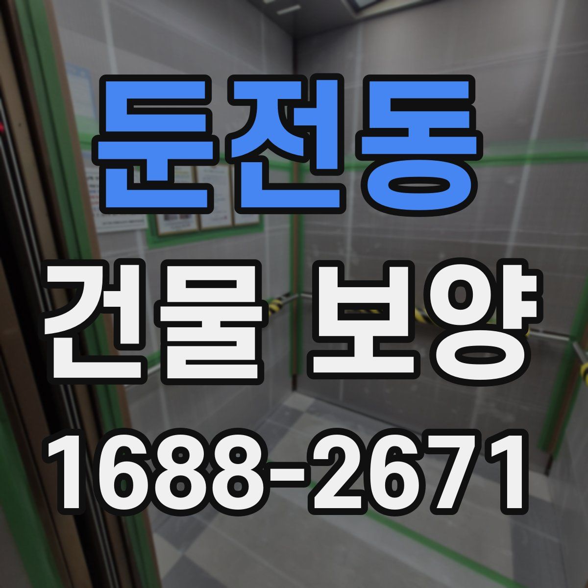 둔전동 건물 보양