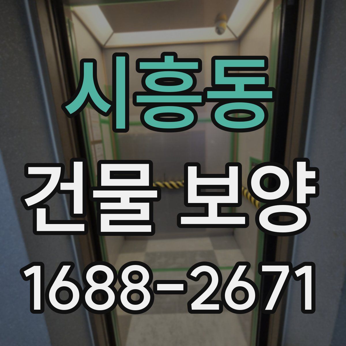 시흥동 건물 보양