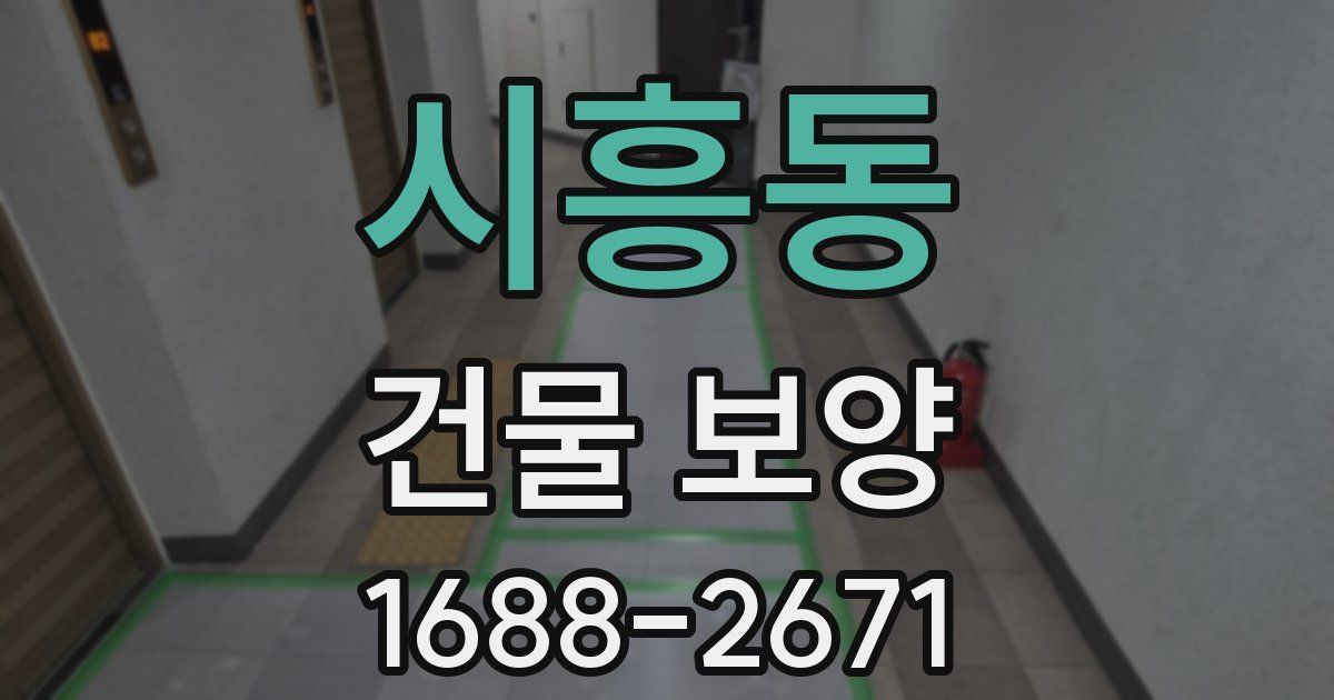 시흥동 건물 보양