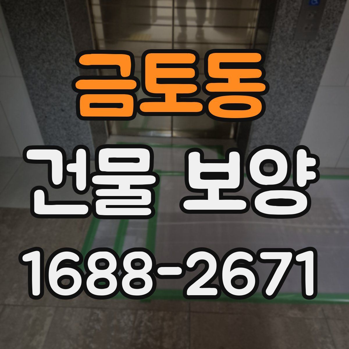 금토동 건물 보양
