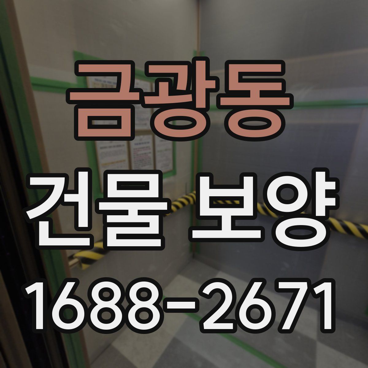 금광동 건물 보양