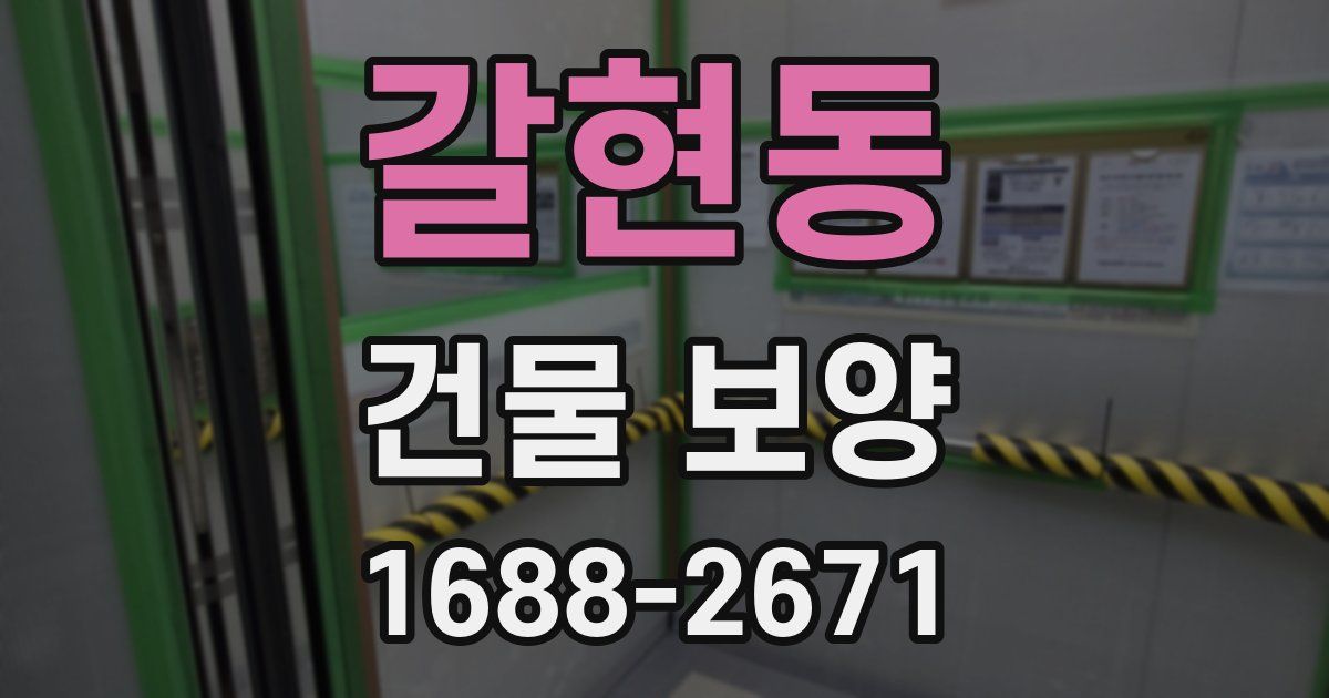 갈현동 건물 보양