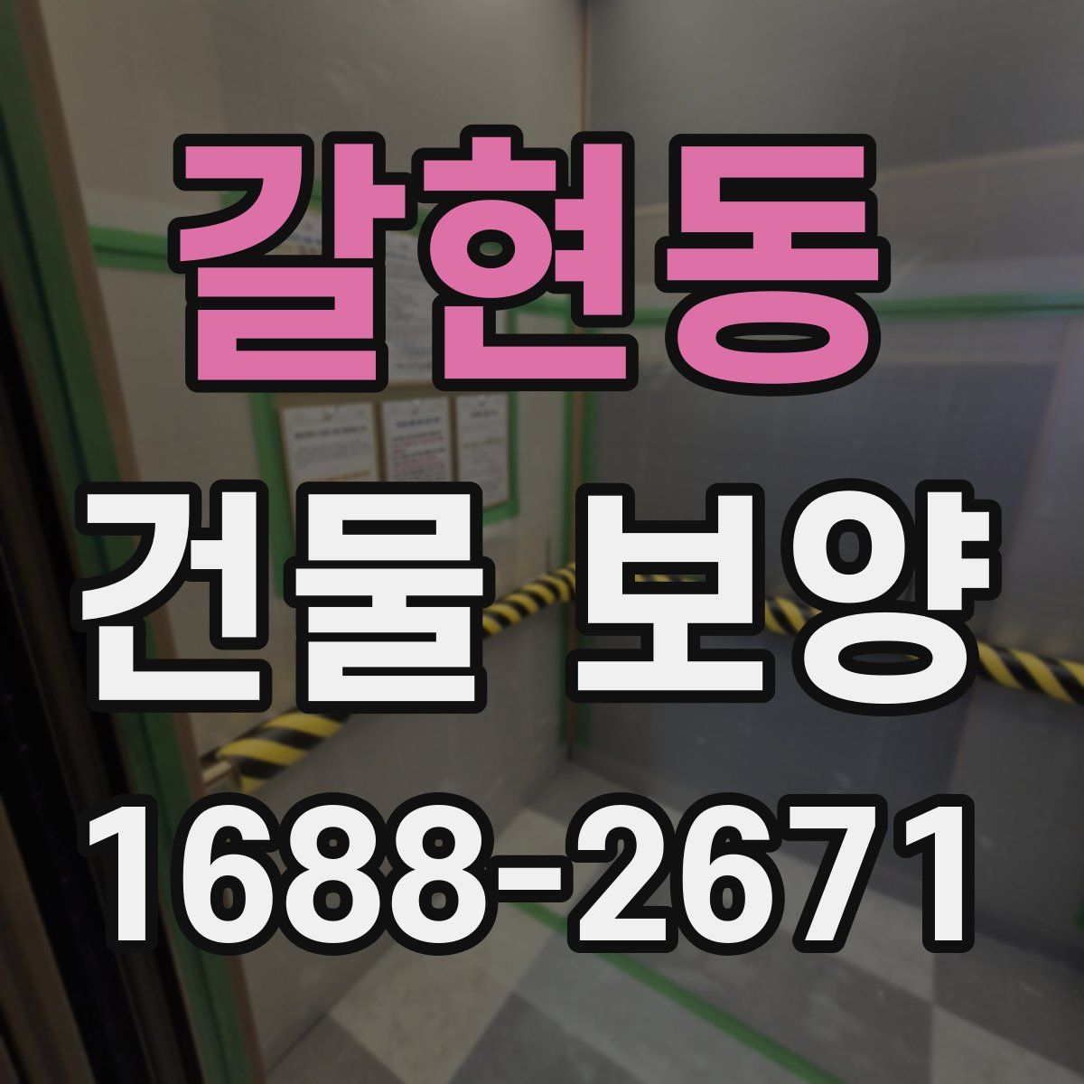 갈현동 건물 보양