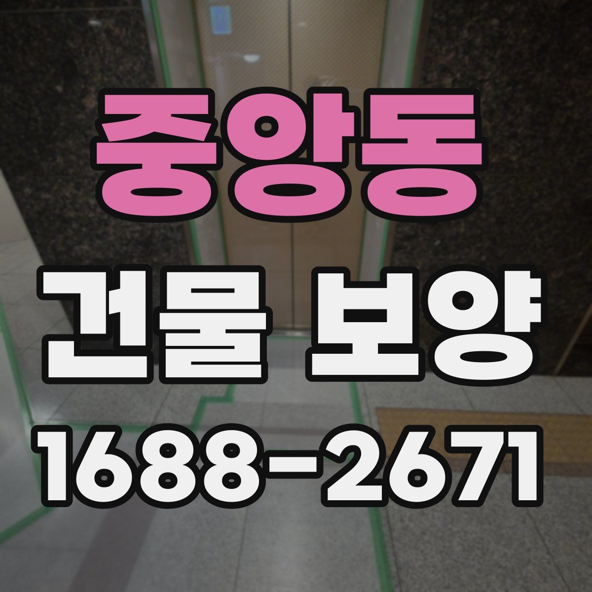 중앙동 건물 보양
