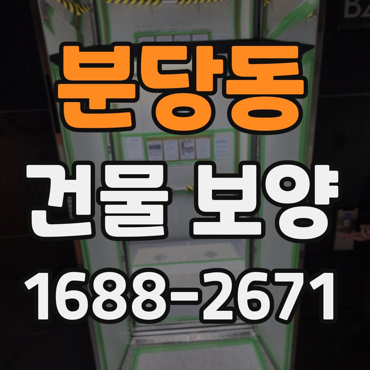 분당동 건물 보양