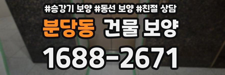 분당동 건물 보양