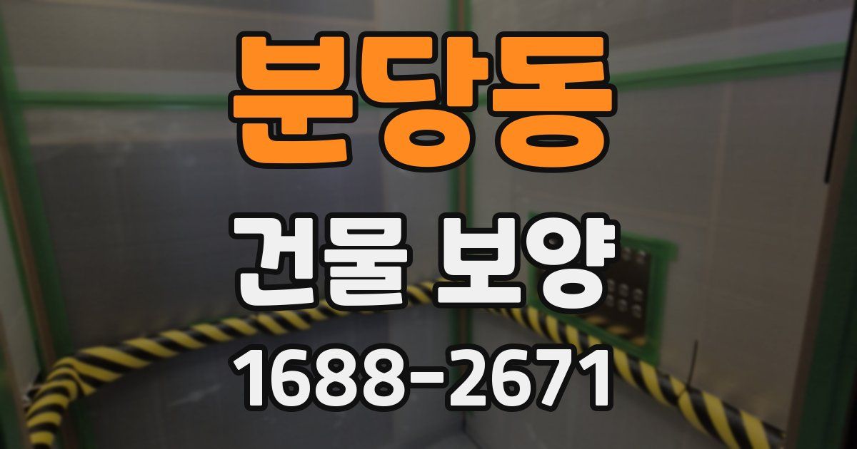 분당동 건물 보양