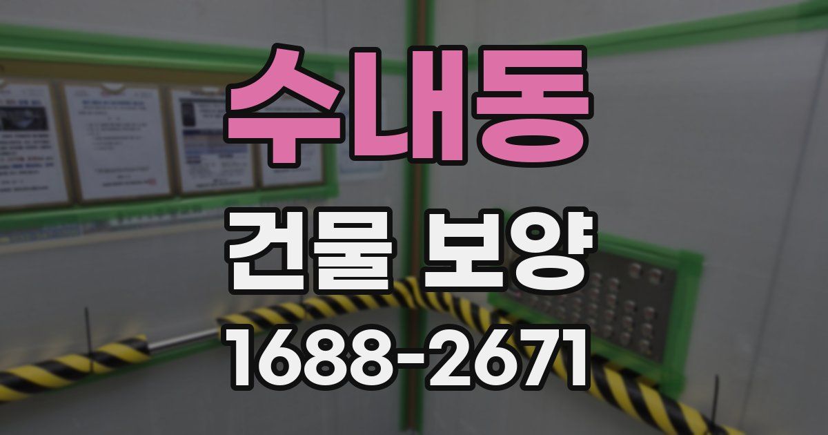 수내동 건물 보양