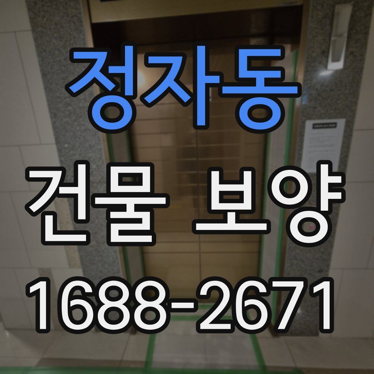 정자동 건물 보양 작업 인력 배치와 역할