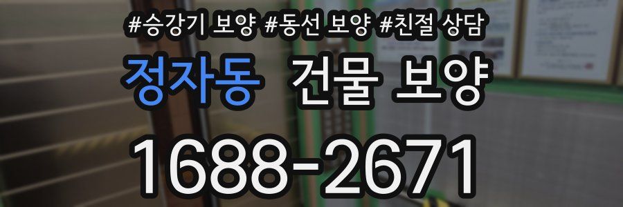 정자동 건물 보양