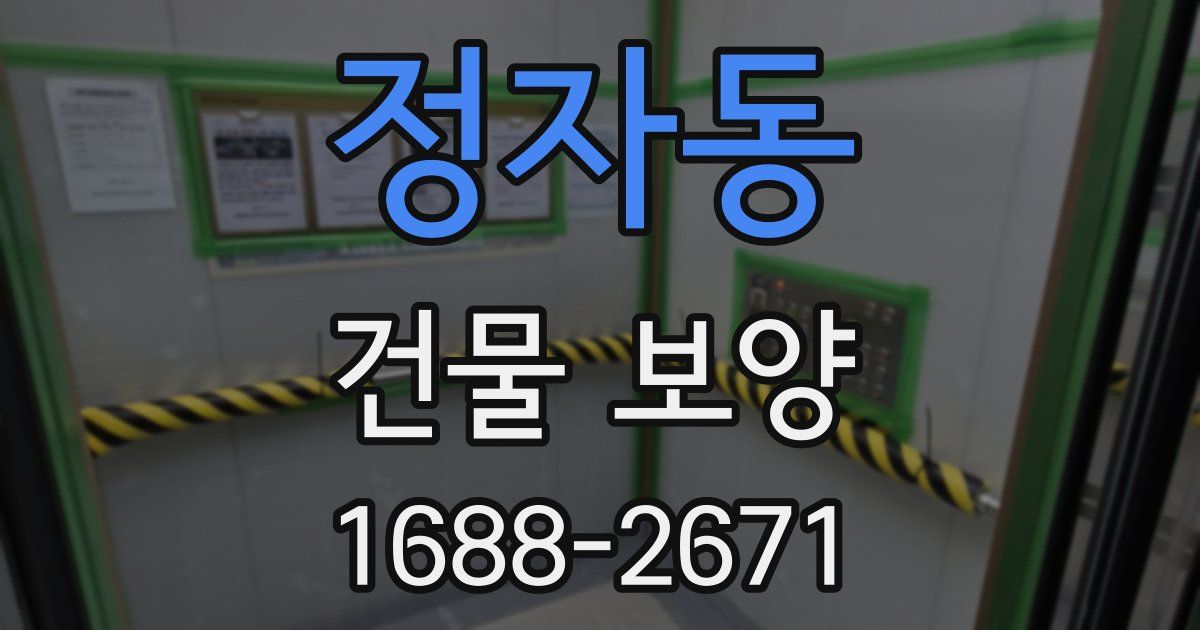 정자동 건물 보양