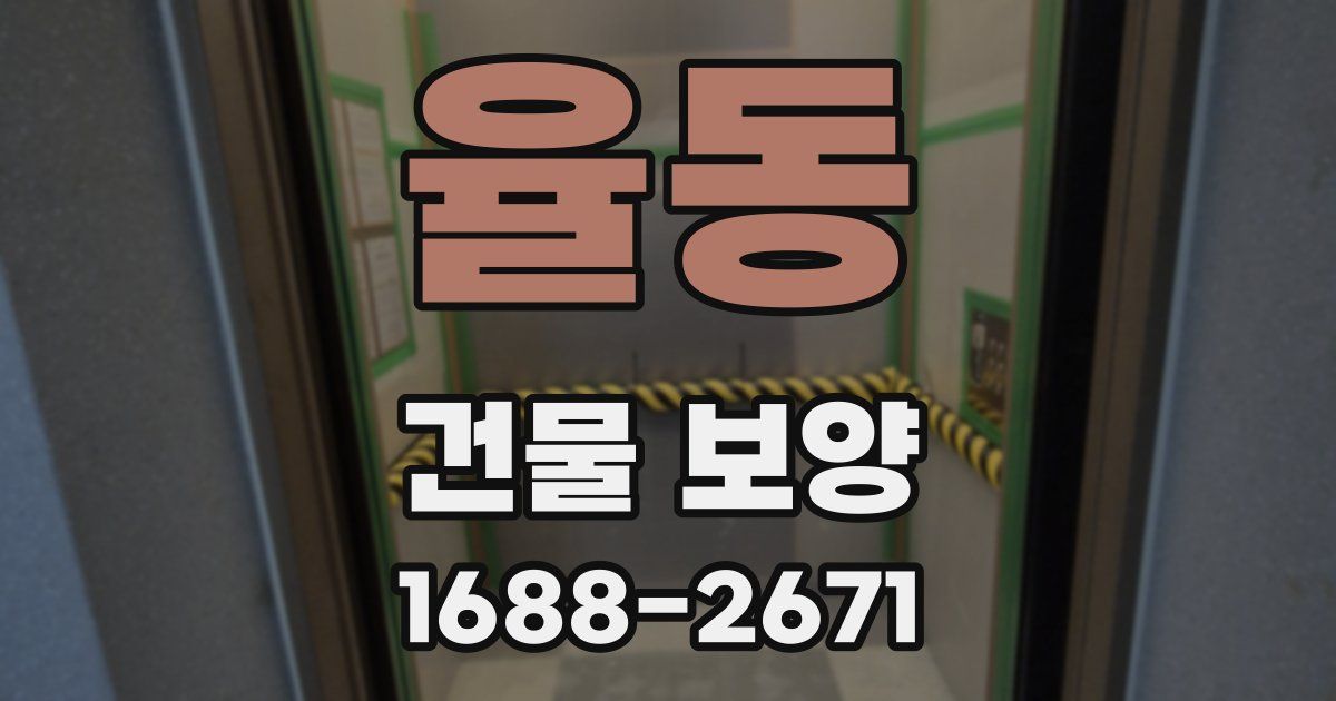 율동 건물 보양