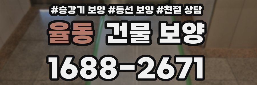 율동 건물 보양
