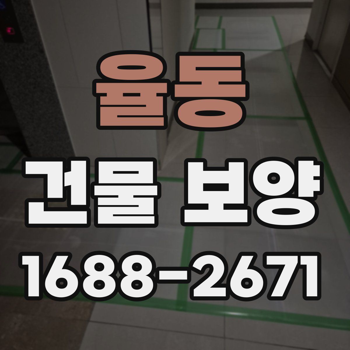 율동 건물 보양