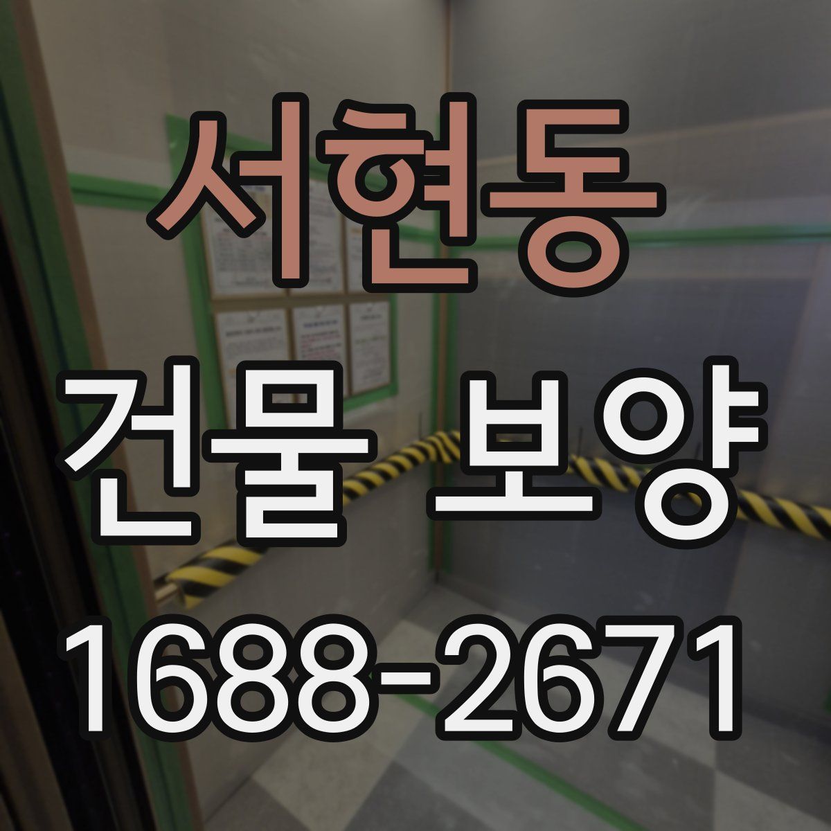 서현동 건물 보양